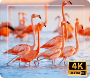 Projetor de Cinema LED 4k - Wi-Fi - Android