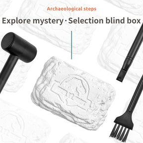 Kit de Escavação de Fósseis de Dinossauros